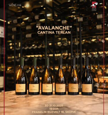 " AVALANCHE " CANTINA TERLAN